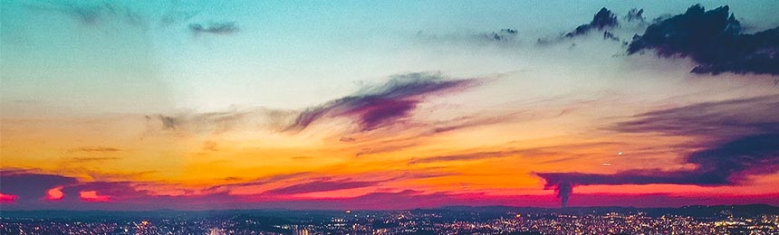 邹平茶虫网_邹平品茶